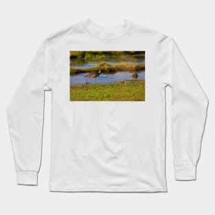 Curlew looking for food Long Sleeve T-Shirt